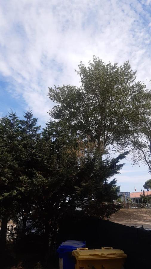 La Spiaggia Lido di Volano Bagian luar foto